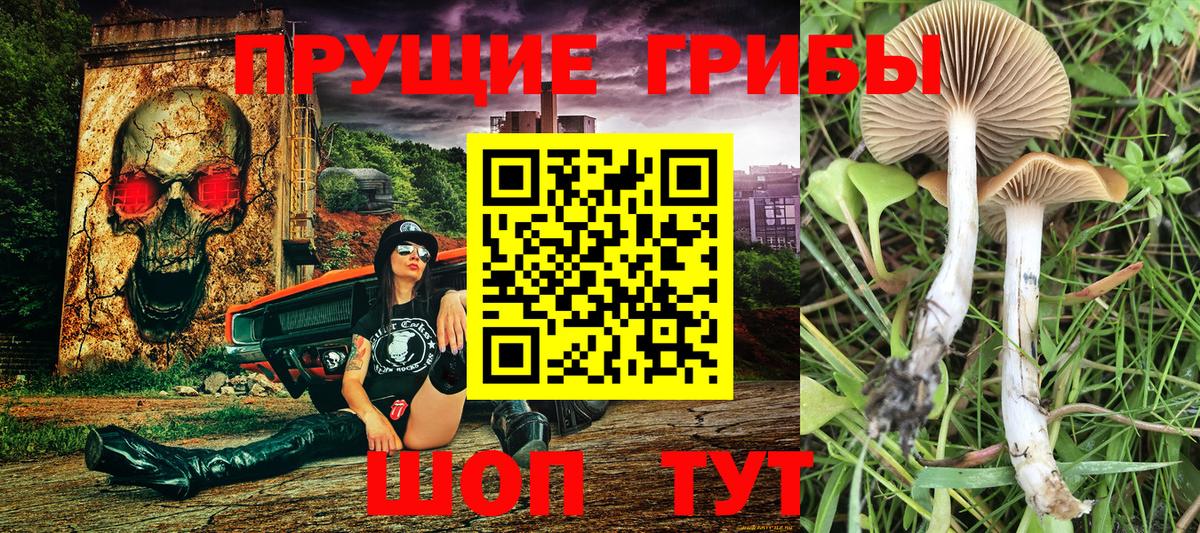 Галлюциногенные грибы мухоморы Мценск