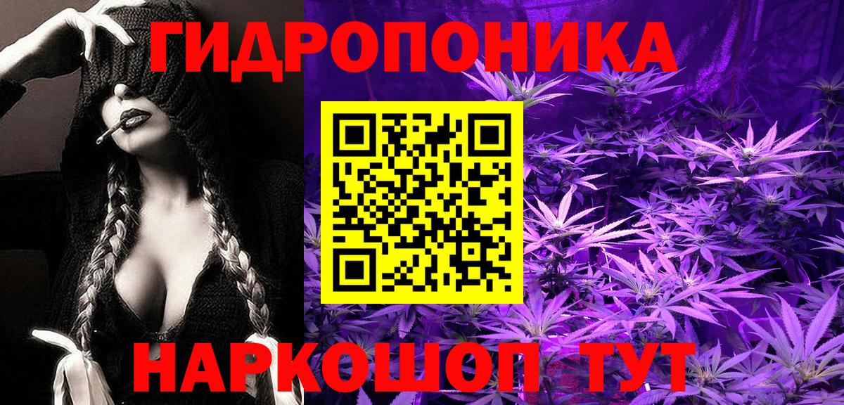 Бошки марихуана конопля Мценск